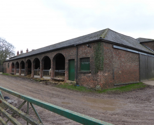 Cow & sheep Barn Tom Cat Lane Bickerton