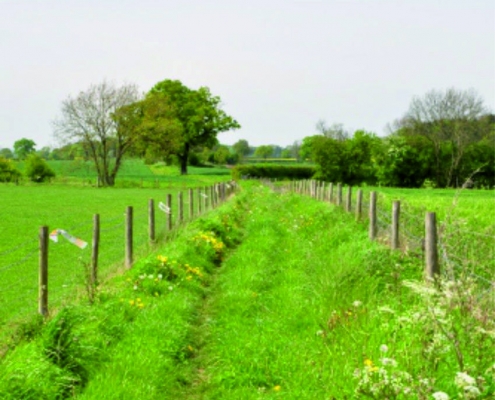 Warfields Public footpath West of Main Street Bickerton