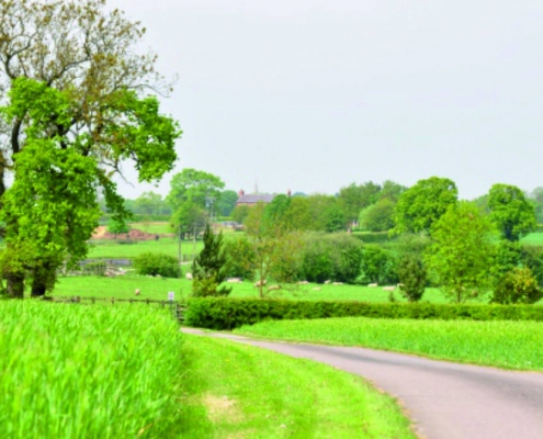 Lush green farm land scene with road bearing left