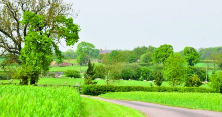 Lush green farm land scene with road bearing left