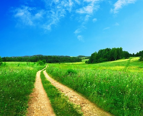 Public footpath and track running across a green field