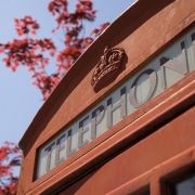 BT Phone Box image against blue sky and a red tree